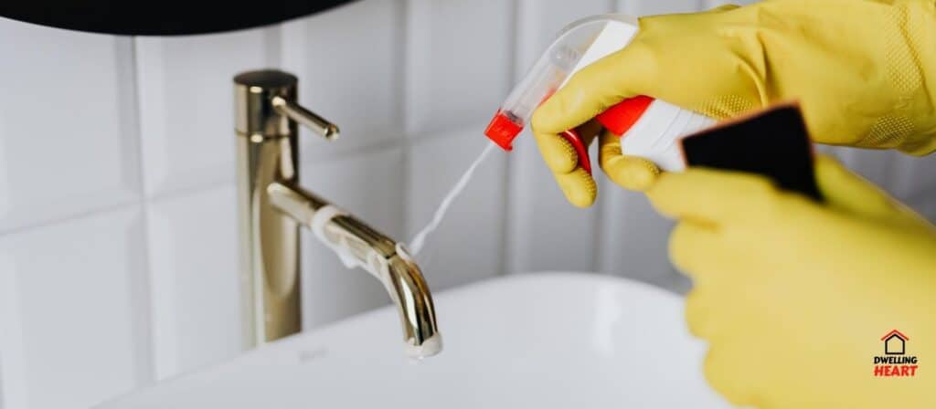 Spray Your Bathroom  - Bathroom Cleaning Checklist, Dwelling Heart